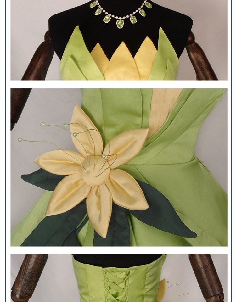 Princess Tiana Dress Cosplay C - Men Accessories For Party review and price