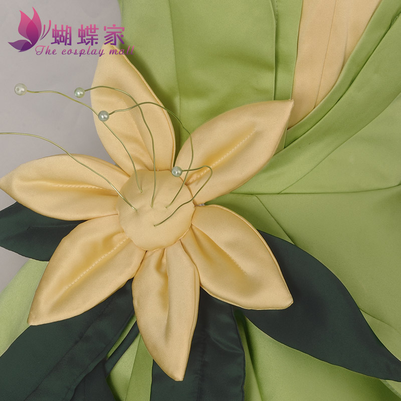 Princess Tiana Dress Cosplay C - Men Accessories For Party review and price