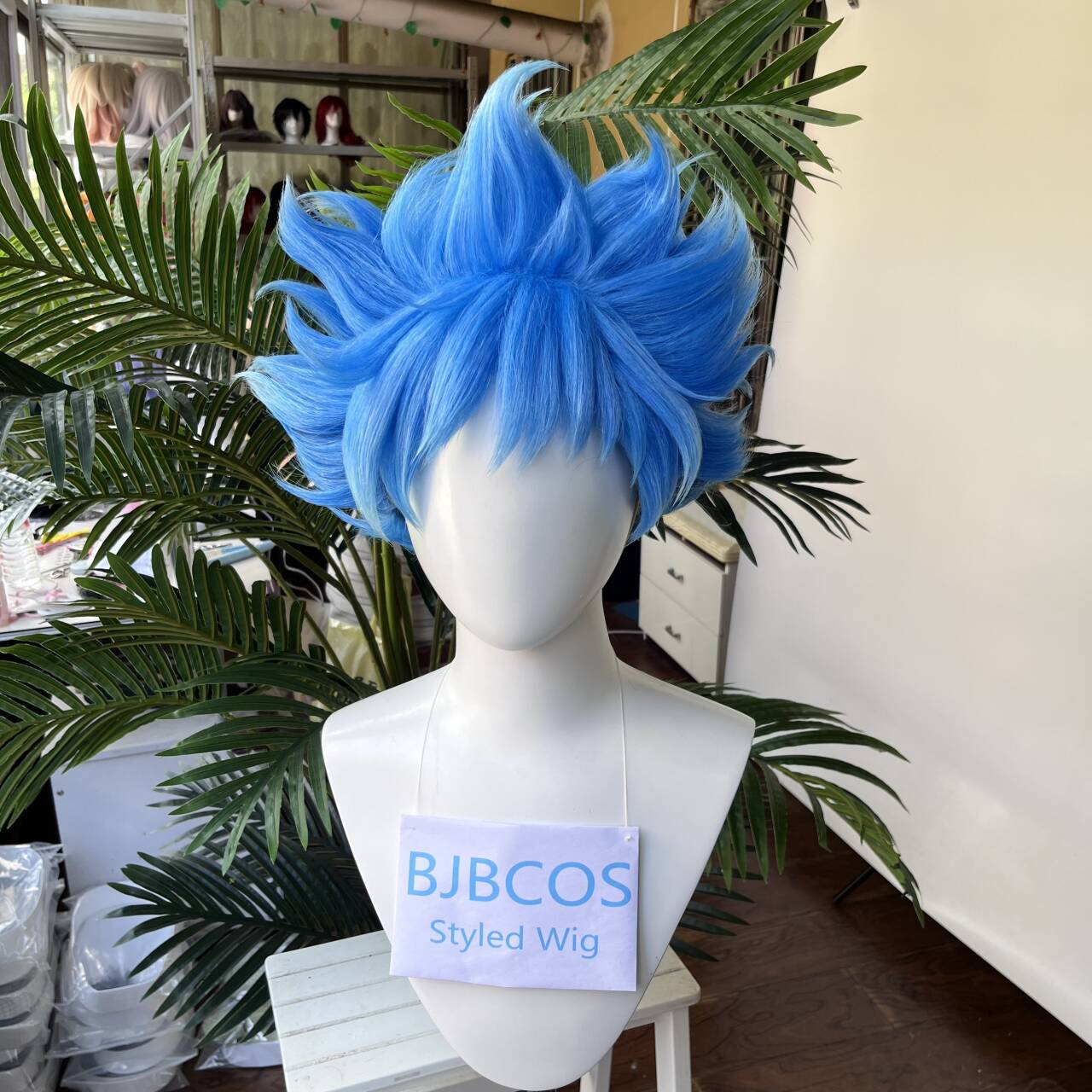 [Styled Wig]Ortho Cosplay Wig  - Men Accessories Style review and price